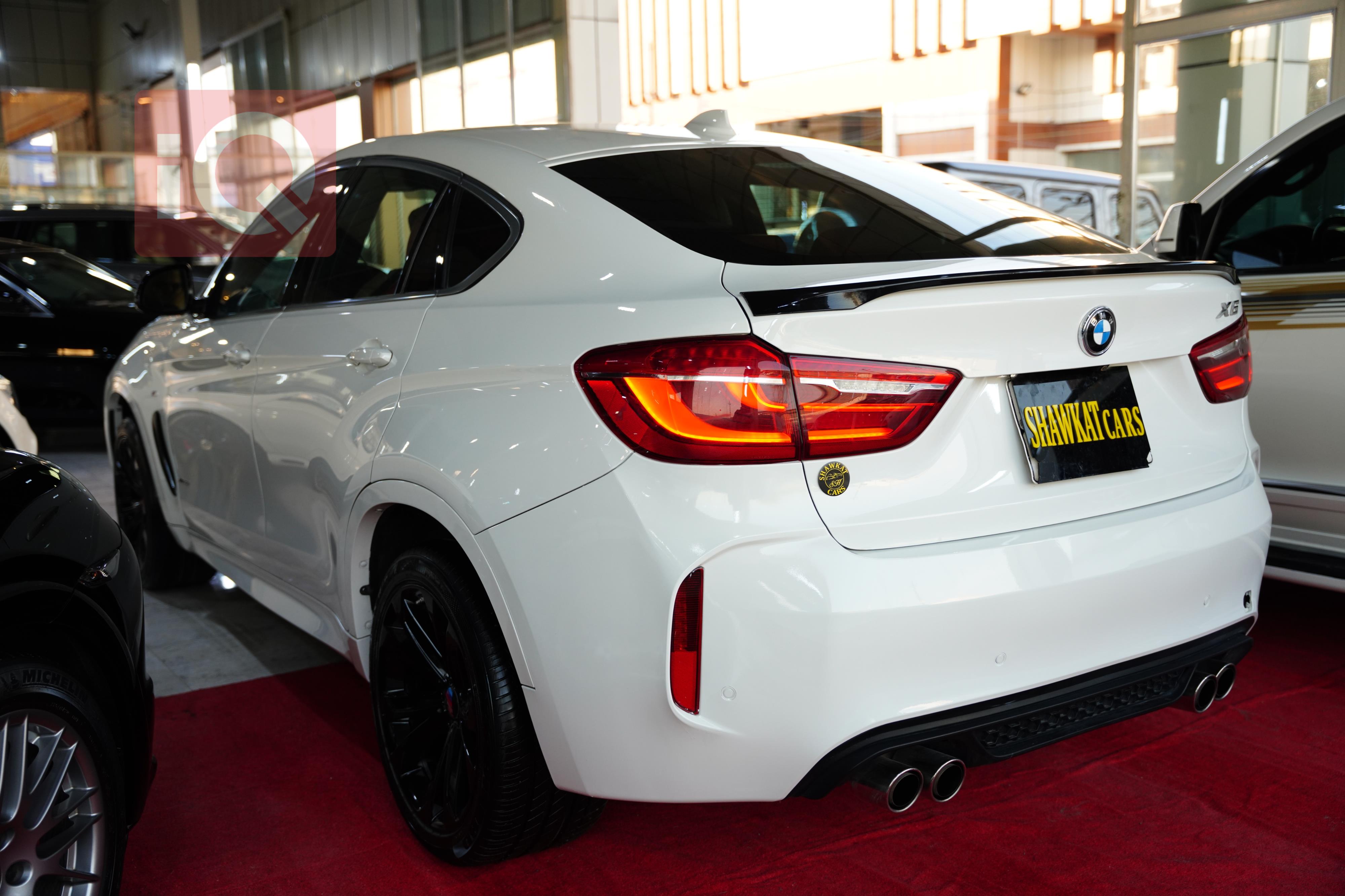 BMW X6